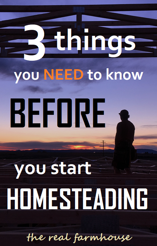 3 things you need to know before you start homesteading. good advice and tips for someone just starting out. 