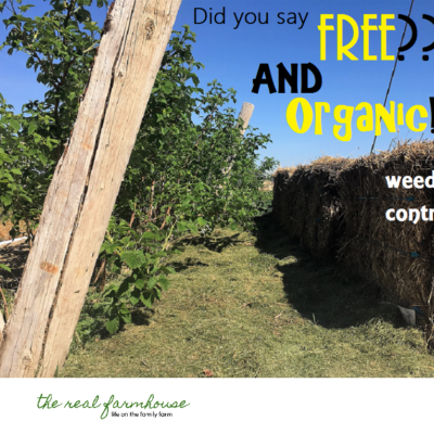 Did you say FREE and ORGANIC weed control?!?!