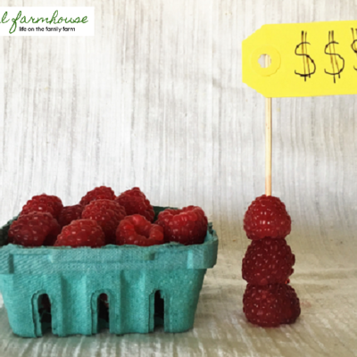 How we spent $8 and ended up with a raspberry patch that produces over $400 each year