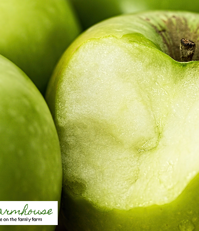 13 apple growing secrets from the professionals