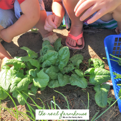 43 perfect homesteading chores for the 5 and under crew