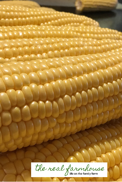 How to freeze sweet corn the easy way