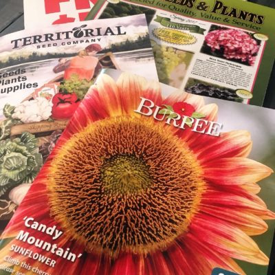 How to get free seed catalogs