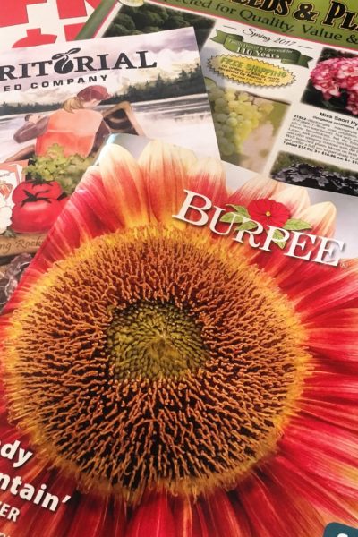 How to get free seed catalogs