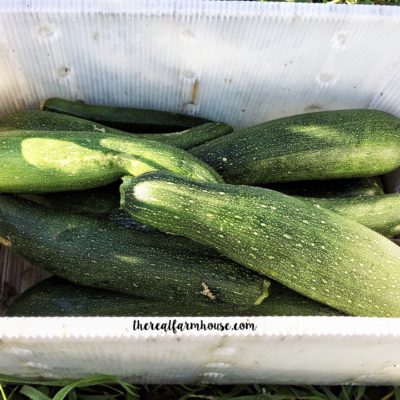 How to freeze fresh zucchini