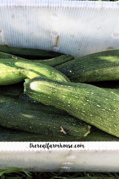 How to freeze fresh zucchini