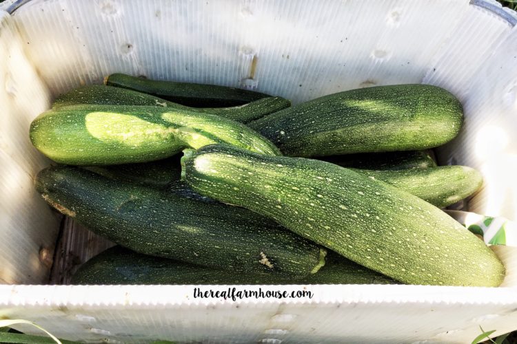 How to freeze fresh zucchini